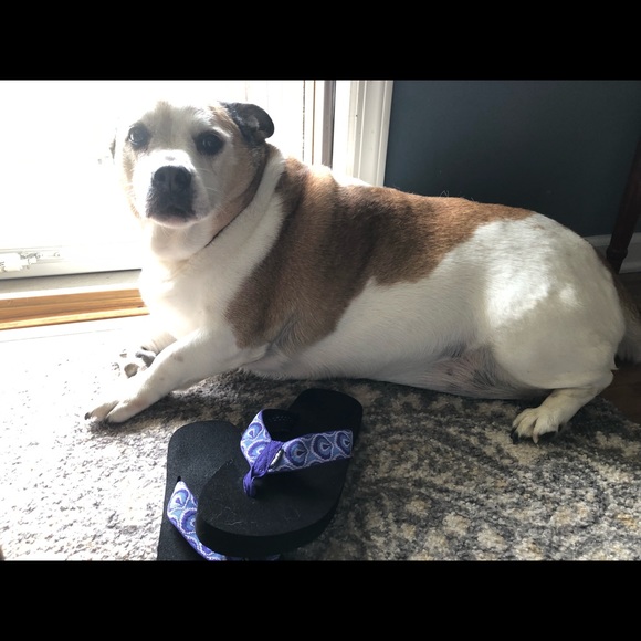Teva Shoes - Teva flip flops Teva Shoes - Teva flip flops